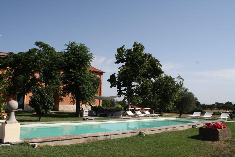 Garden, Swimming pool, Swimming pool
