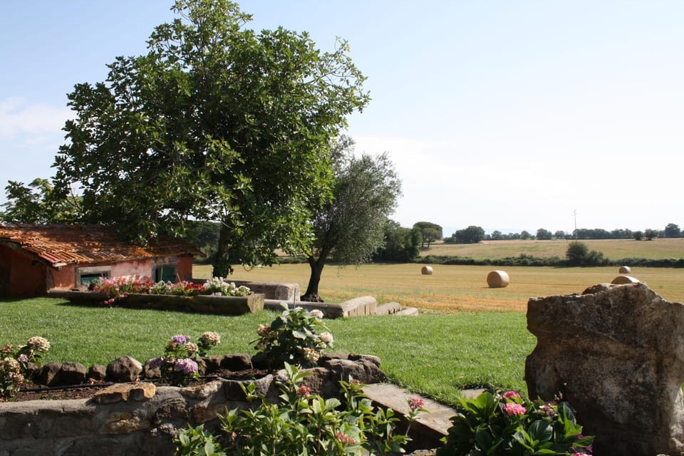 Garden, Garden view