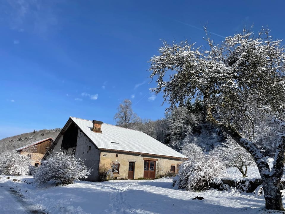 Property building, Winter