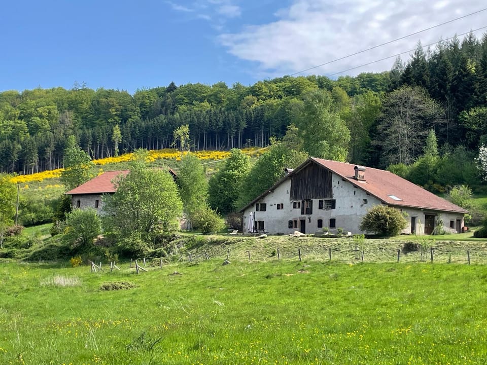 La Hutte House in Vosges