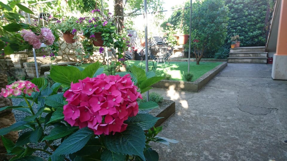 Ela Cres Apartment in Cres