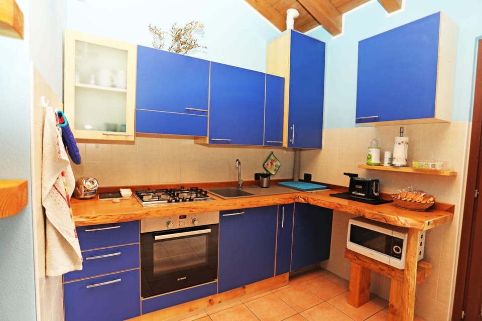 Kitchen or kitchenette, minibar, pet friendly, stove