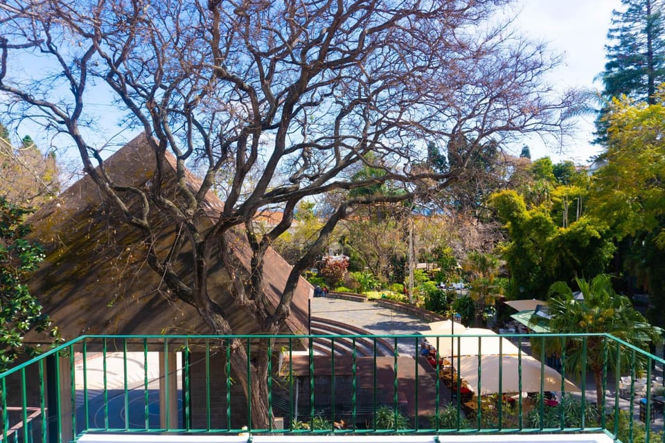 Balcony/Terrace, City view, Garden view