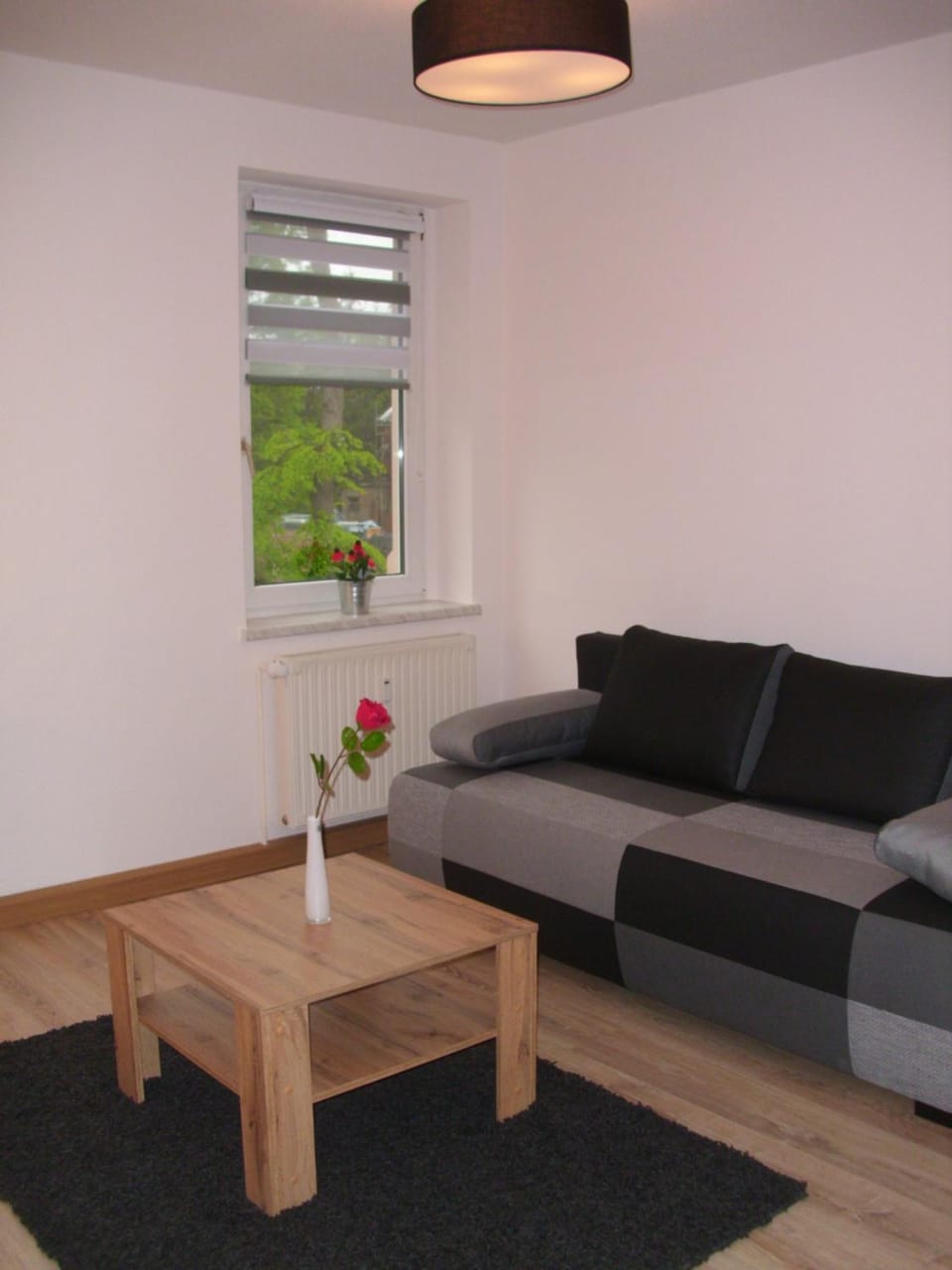 Ferienwohnung in Döbeln Apartment in Saxony