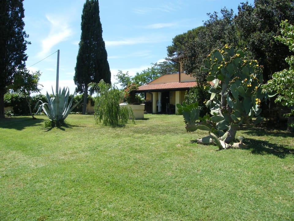Property building, Natural landscape, Garden, Garden view