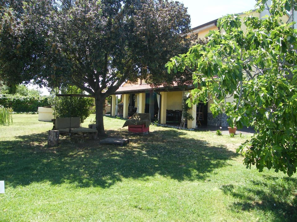 Property building, Garden, Garden view