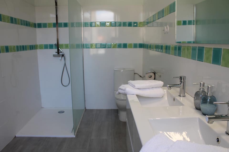 Shower, Toilet, Bathroom, towels