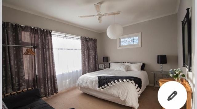Skyline SkyRides Premium Property, see host info for pets House in Rotorua