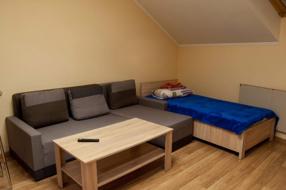 Wonderful flat on city center (Mukachivska 4/17) Apartment in Slovakia