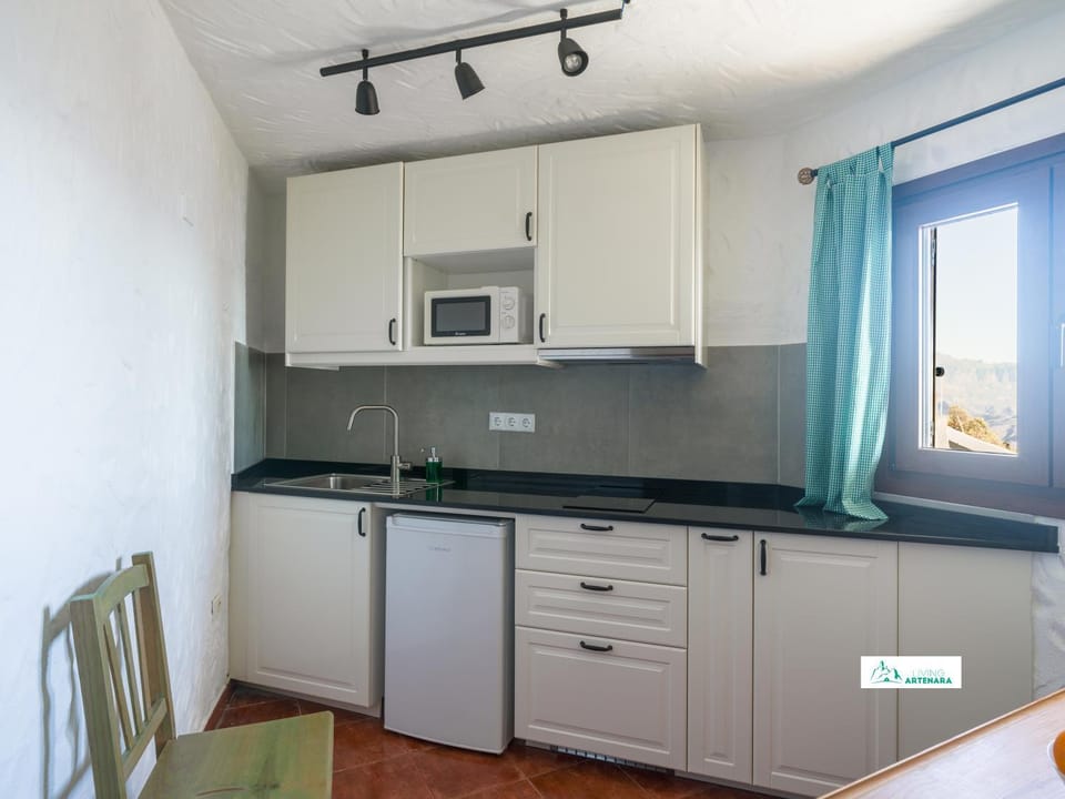Kitchen or kitchenette, microwave, stove