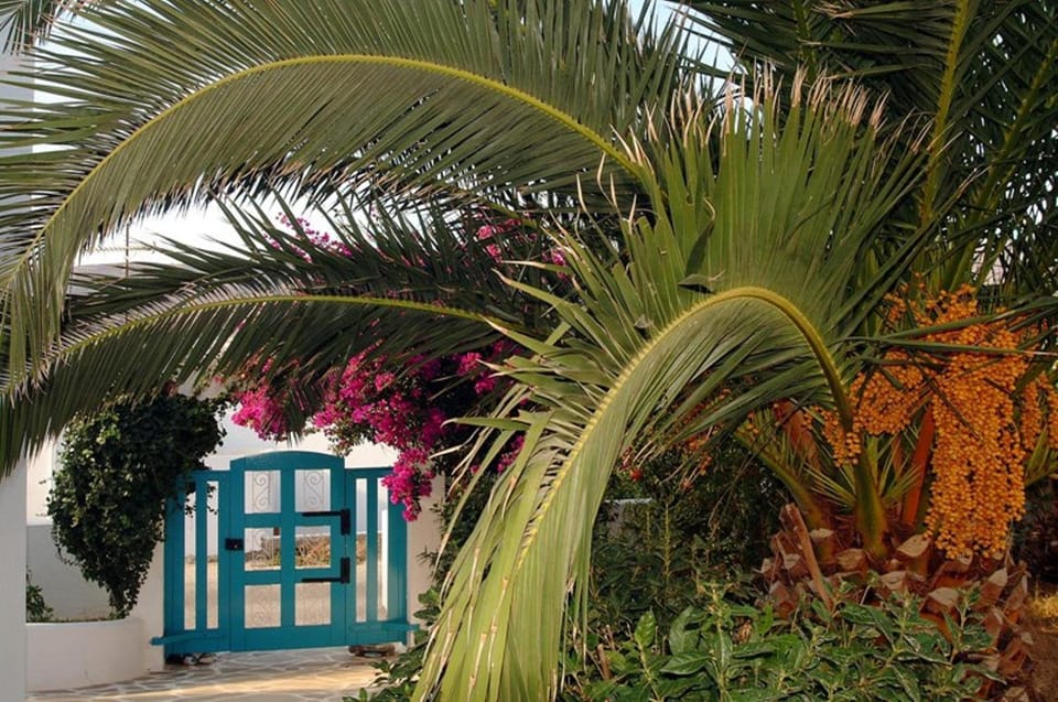 Decorative detail