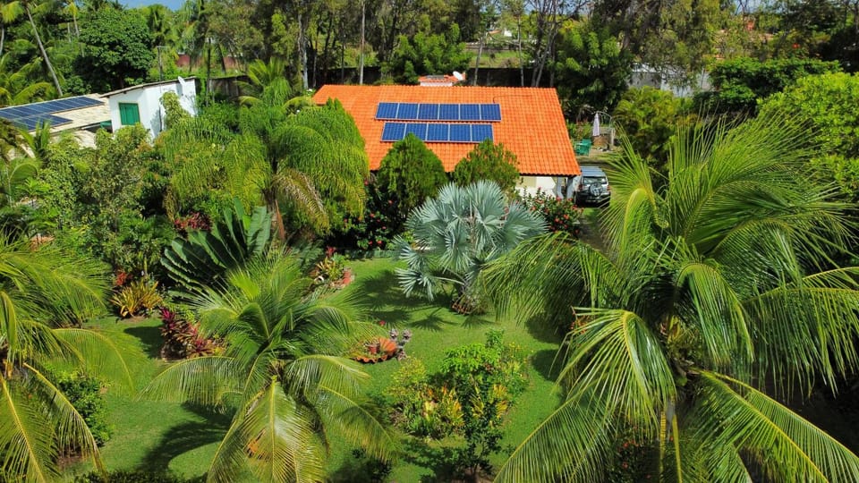 Bird's eye view, Garden