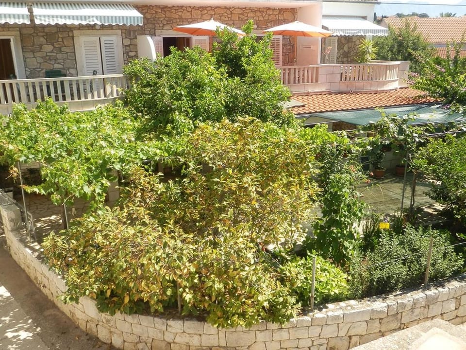 Location, children, Family