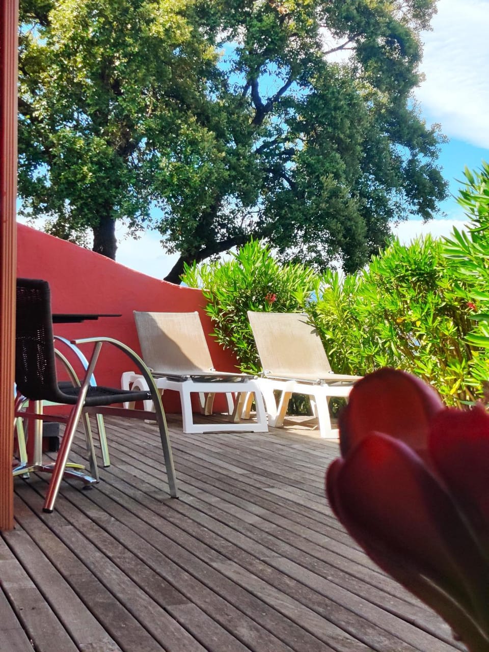 Patio, Balcony/Terrace, sunbed