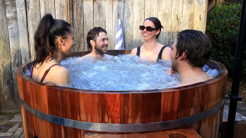 Hot Tub, Hot Tub, group of guests