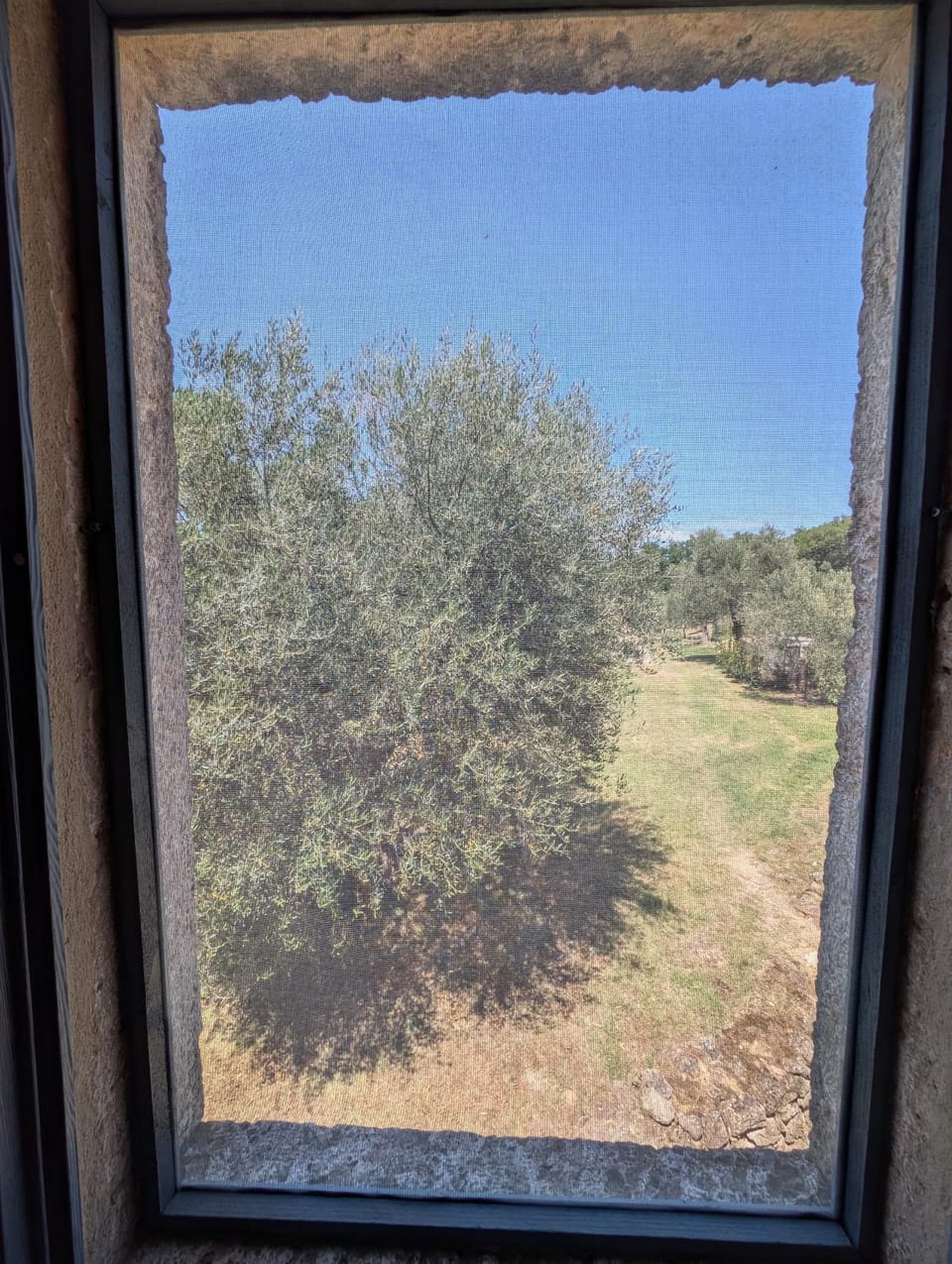 Podere Spedalone Farm Stay in Tuscany