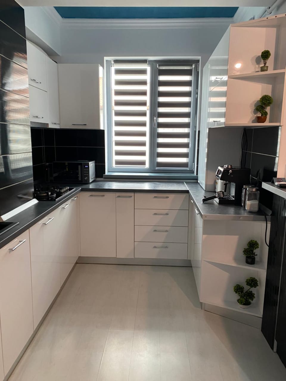 Coffee/tea facilities, Kitchen or kitchenette, minibar, stove