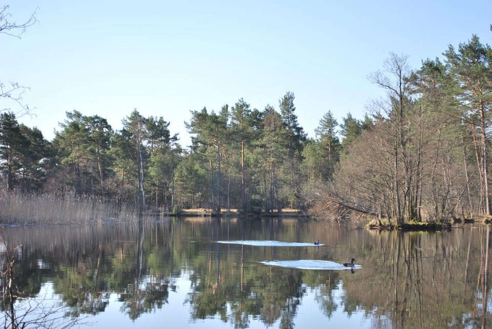 Neighbourhood, Natural landscape, Fishing