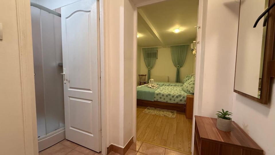 PENSIUNEA SCHWARTZY Bed and Breakfast in Hungary