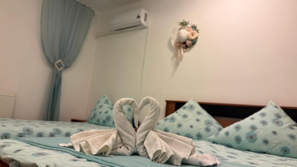 PENSIUNEA SCHWARTZY Bed and Breakfast in Hungary