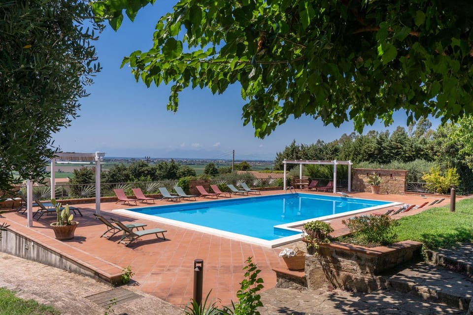 Day, Natural landscape, Garden, Garden view, Pool view, Swimming pool, sunbed