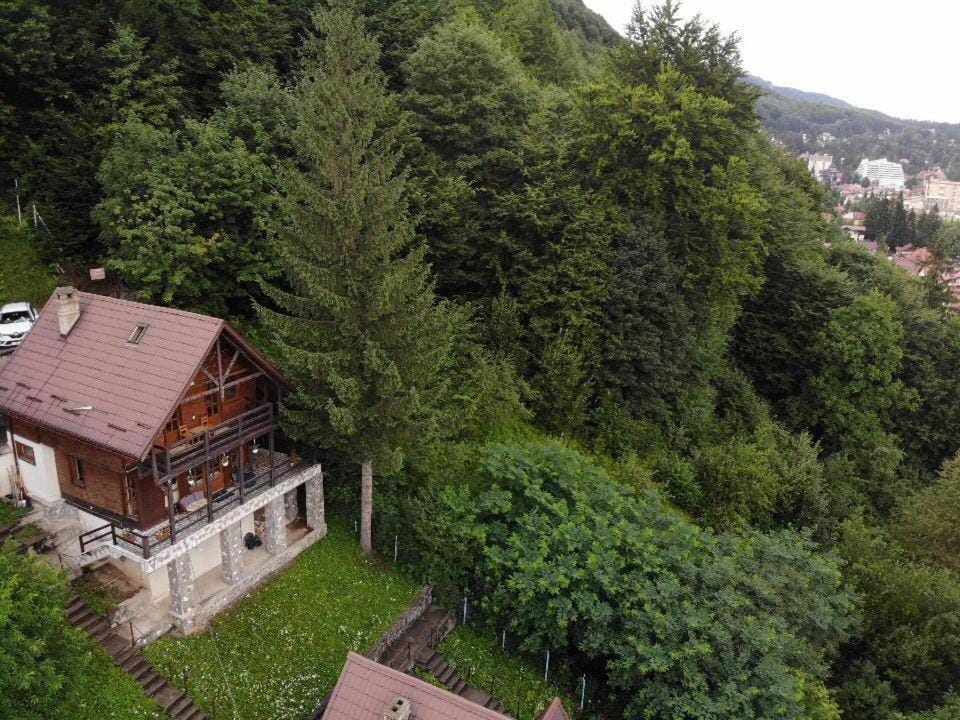 Florile Bucegilor House in Sinaia