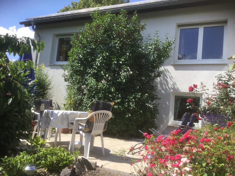 Property building, Summer