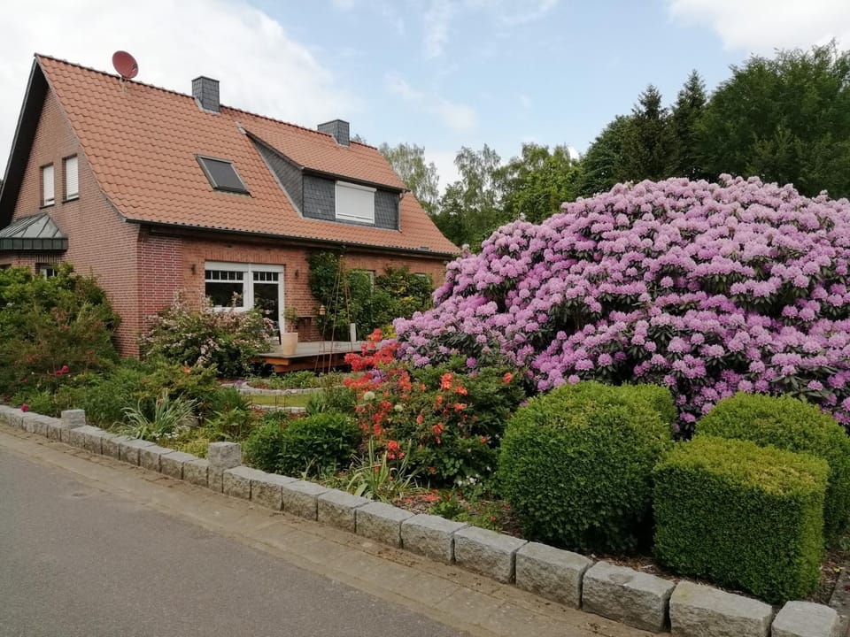 Property building, Garden