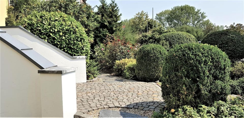 Property building, Patio, Facade/entrance, Garden