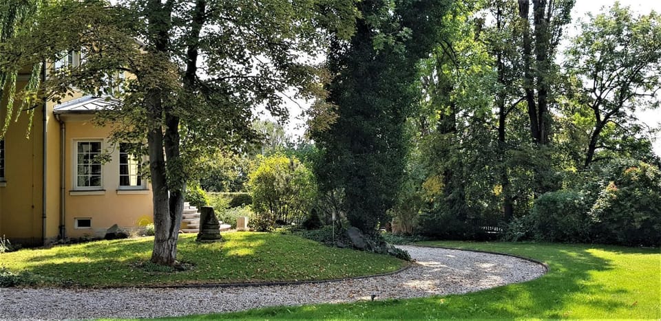 Property building, Garden view