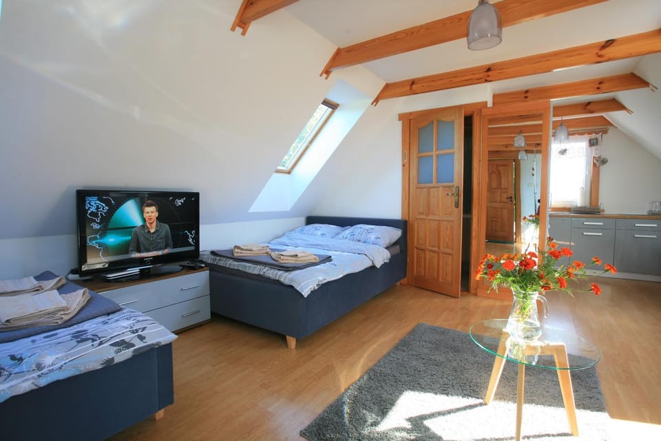 Communal lounge/ TV room, Photo of the whole room