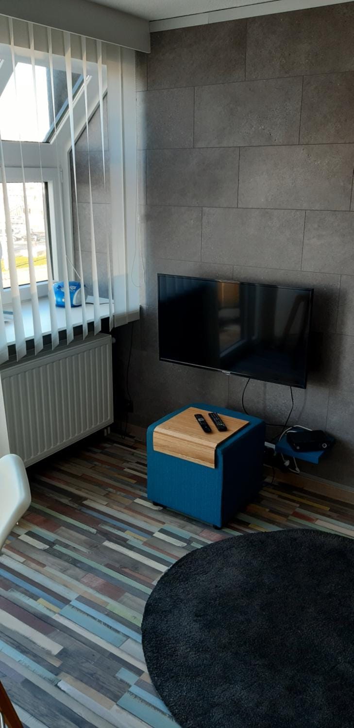 TV and multimedia