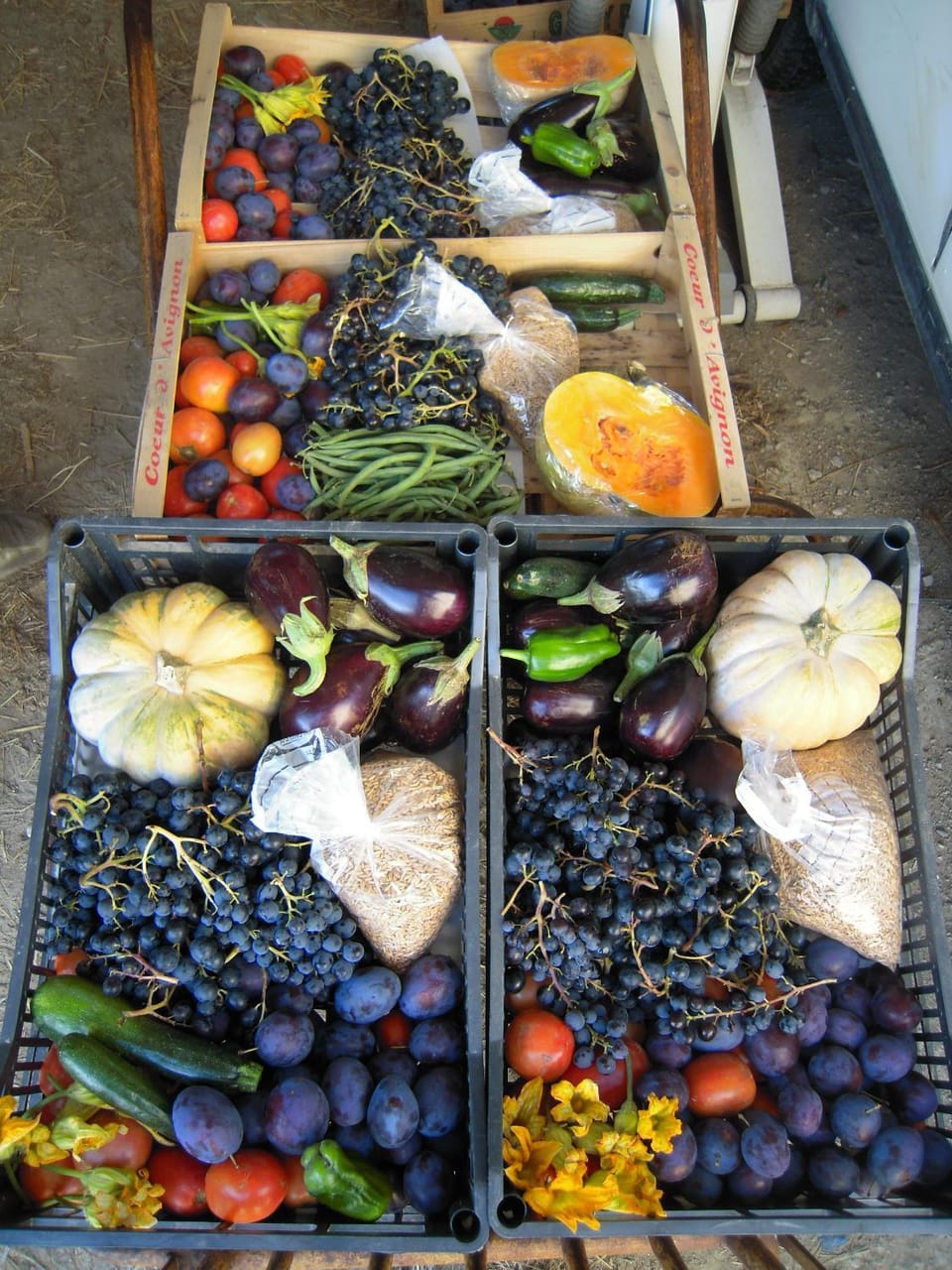 Summer, View (from property/room)