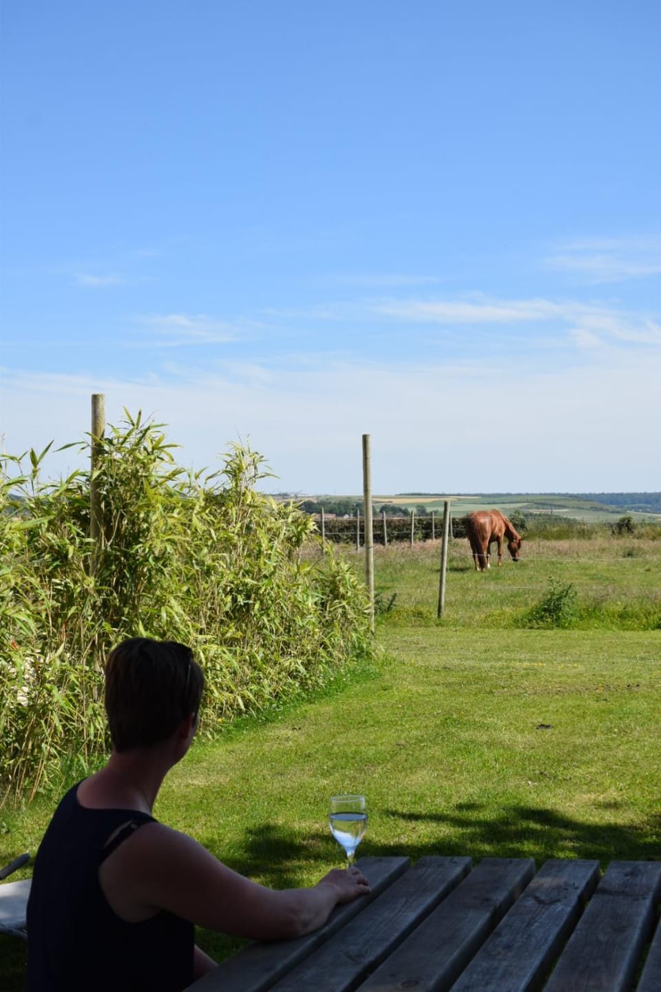 Natural landscape, Animals, Garden view