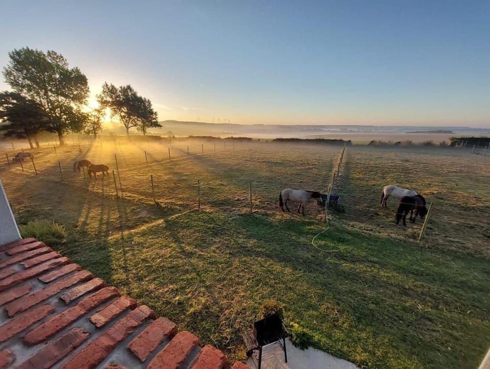 Natural landscape, View (from property/room), Garden view, Sunrise