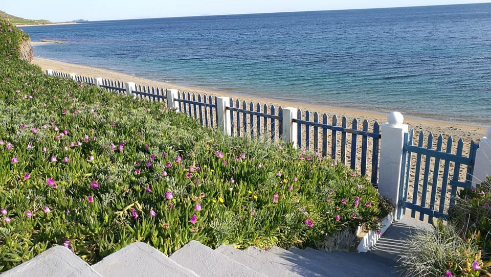 Anemos Seaside House House in Euboea