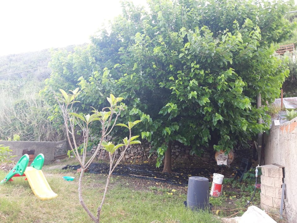 Garden, Garden