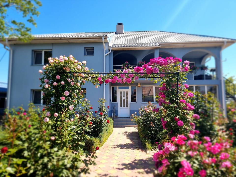 Casa cu Trandafiri Murighiol Bed and Breakfast in Romania