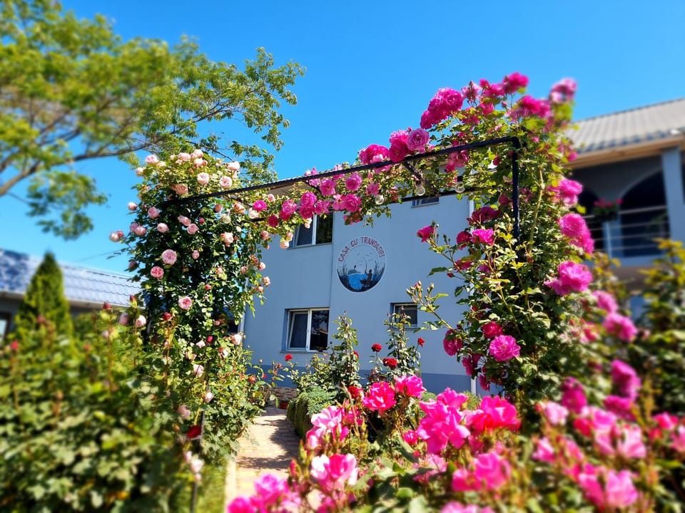 Casa cu Trandafiri Murighiol Bed and Breakfast in Romania