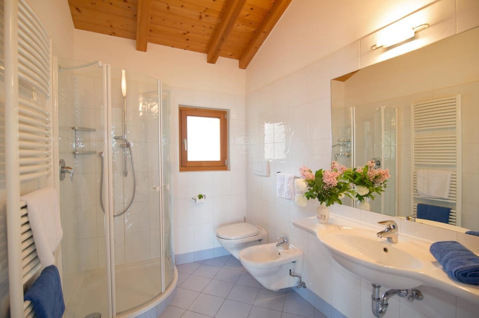 Toilet, Decorative detail, Decorative detail