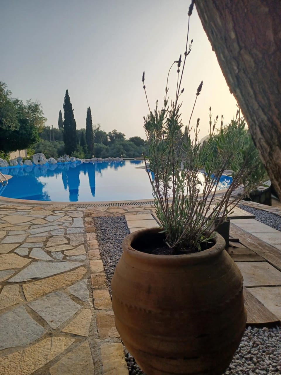 Pool view