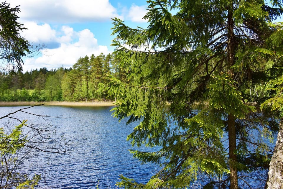 Natural landscape, Garden, Hiking, Lake view
