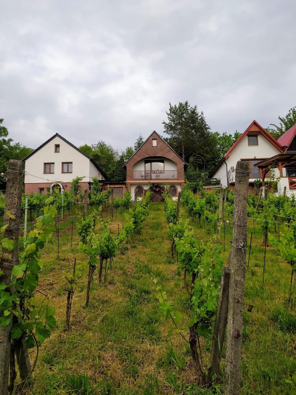 Property building, Neighbourhood, Garden