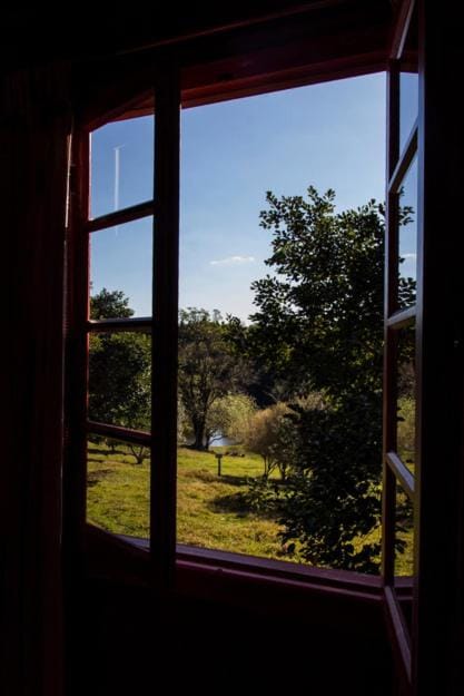 Garden view