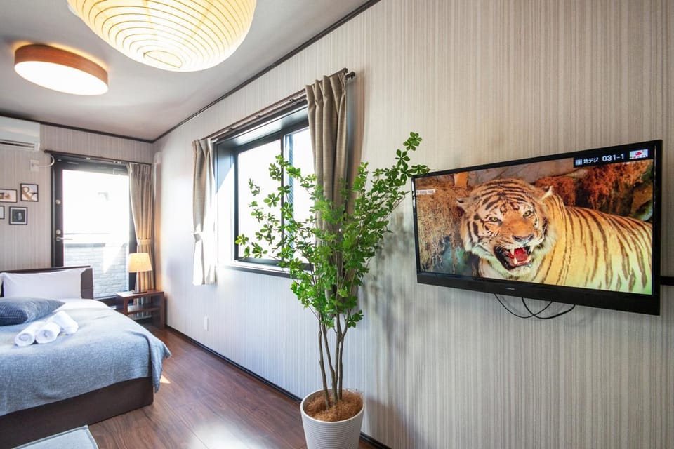 Bed, TV and multimedia
