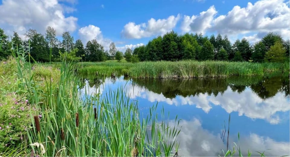 Spring, Day, Natural landscape, Lake view