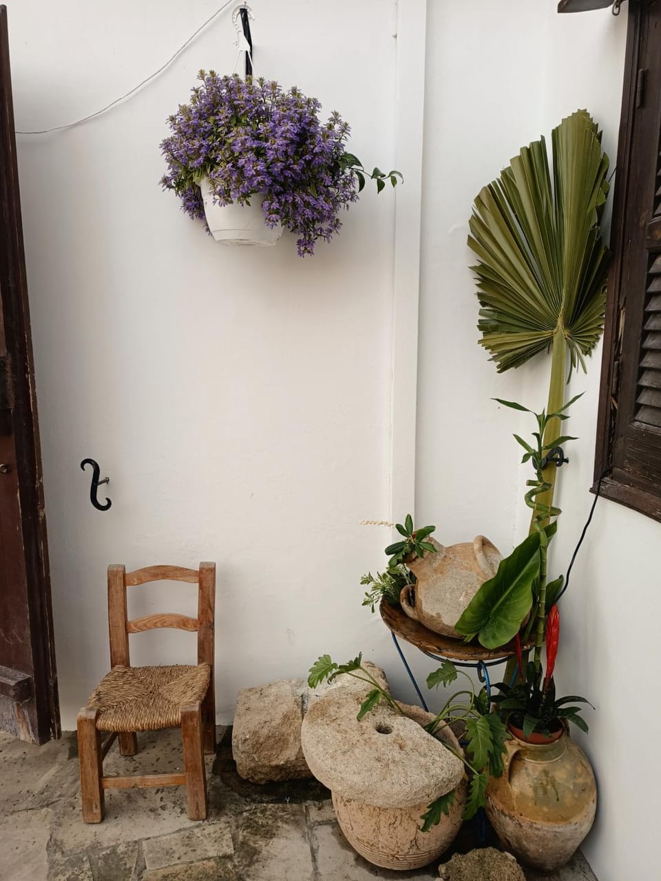 Property building, Garden, Other