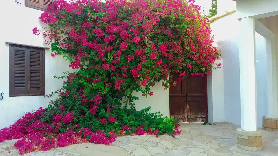 Facade/entrance, Garden