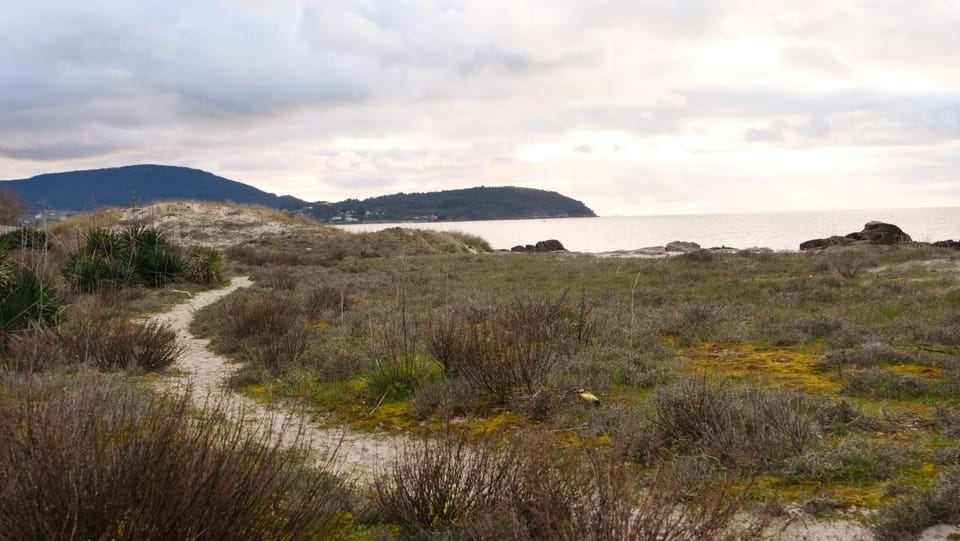Casiñas Mariñeiras (Taberna Vella) House in Galicia