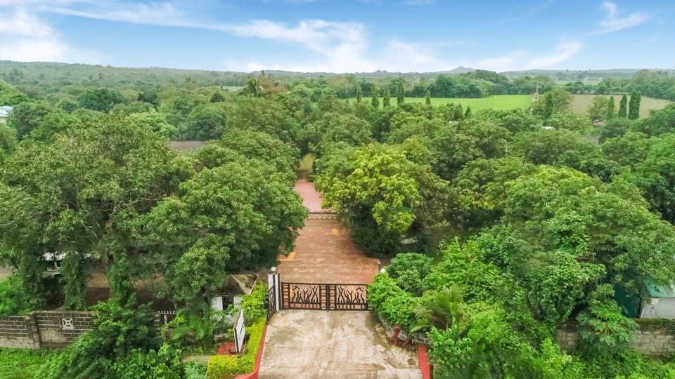 Day, Natural landscape, Bird's eye view